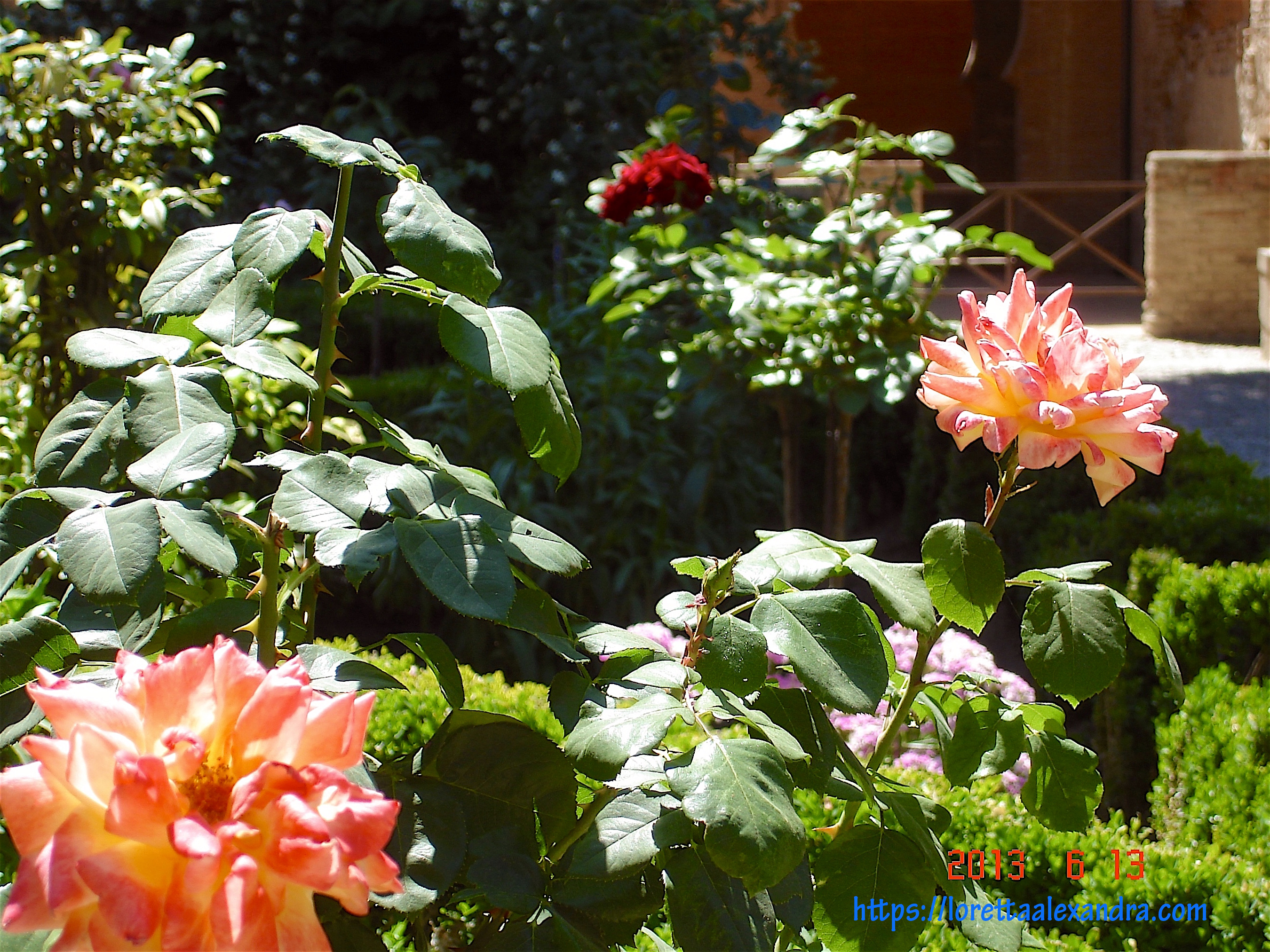 One of the gardens on the grounds of the Alhambra.