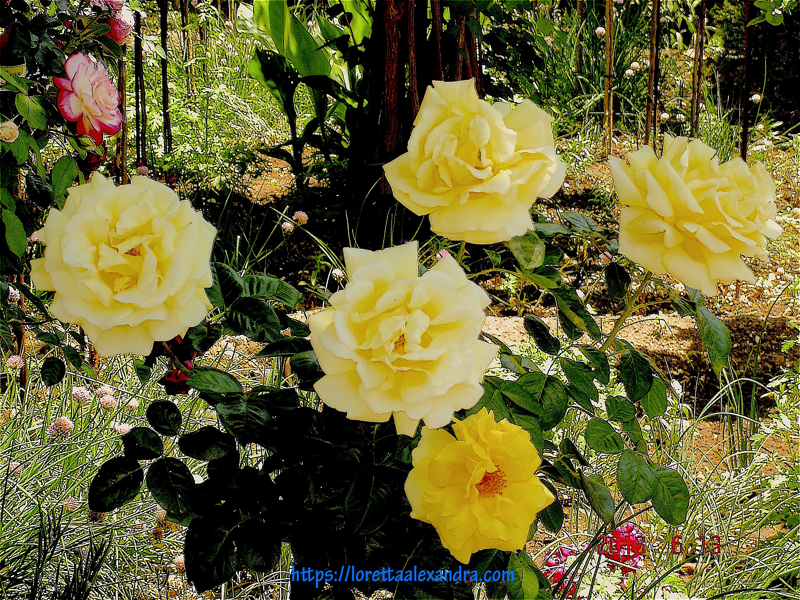 In the gardens of the Alhambra.