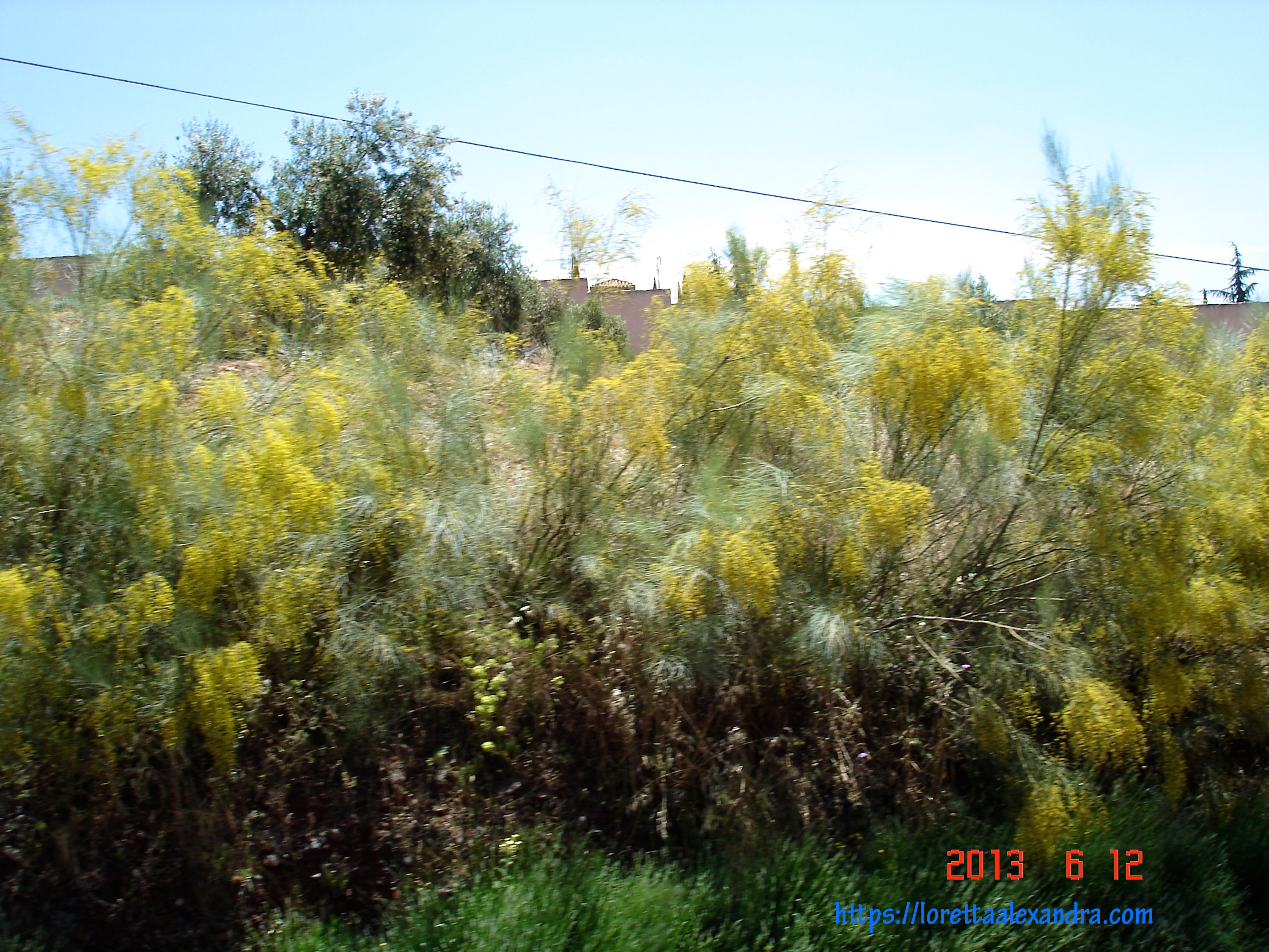 Along the route to Alhambra.