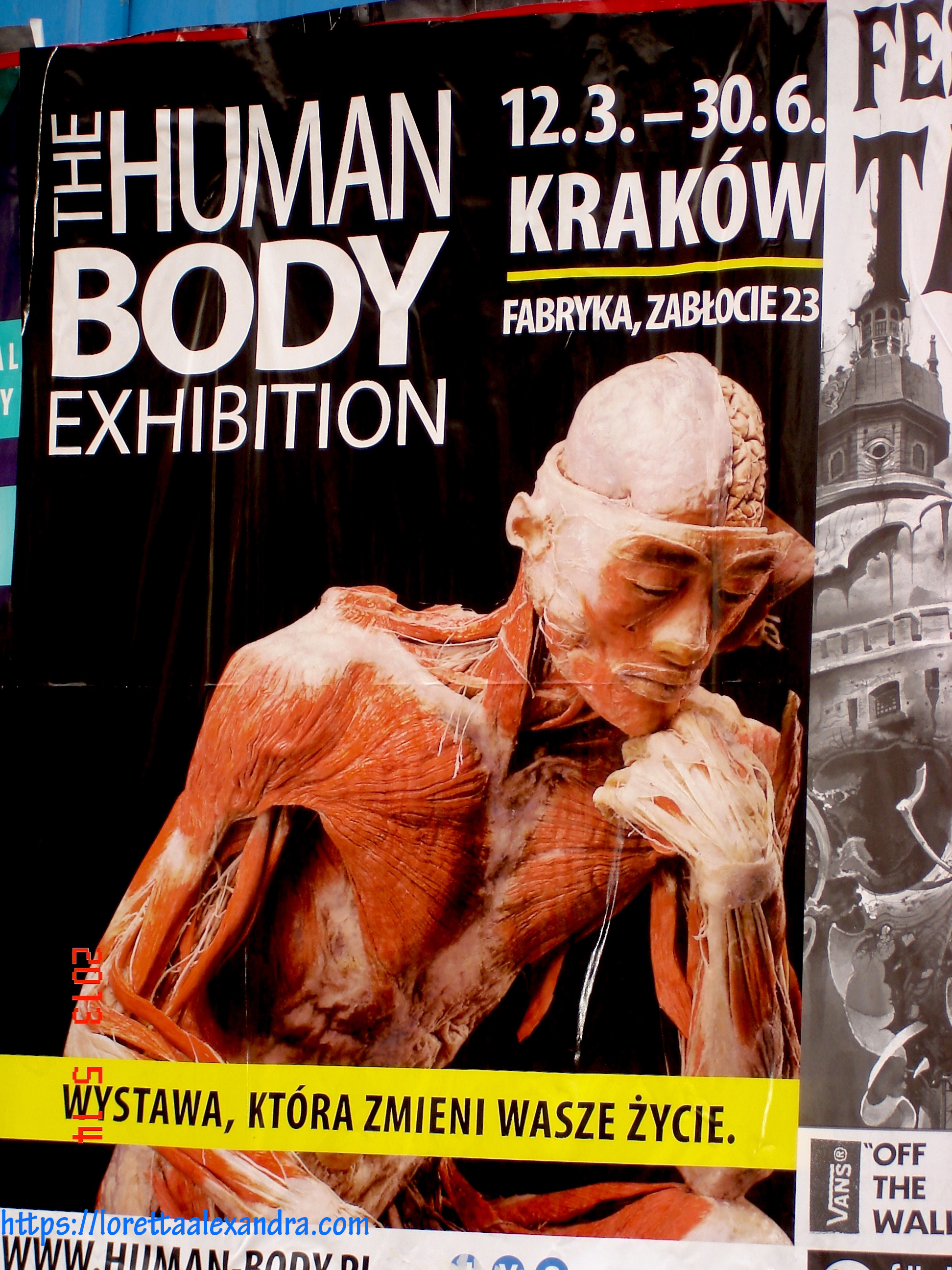 Exhibition poster- in Kazimierz