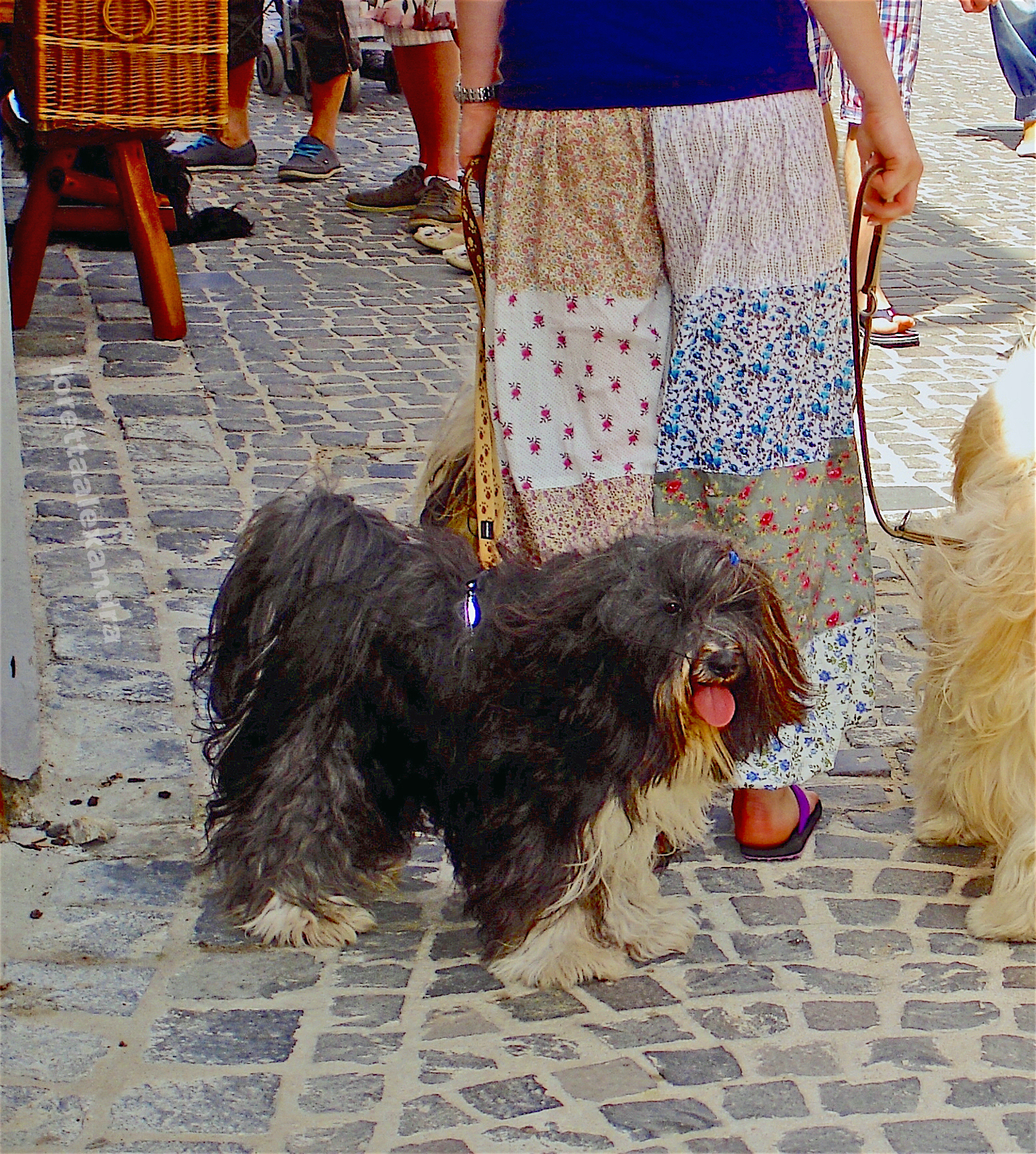 At the market in Szentendre.