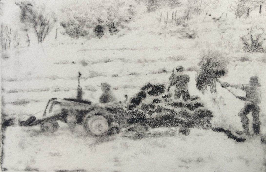 Hayers, 2003