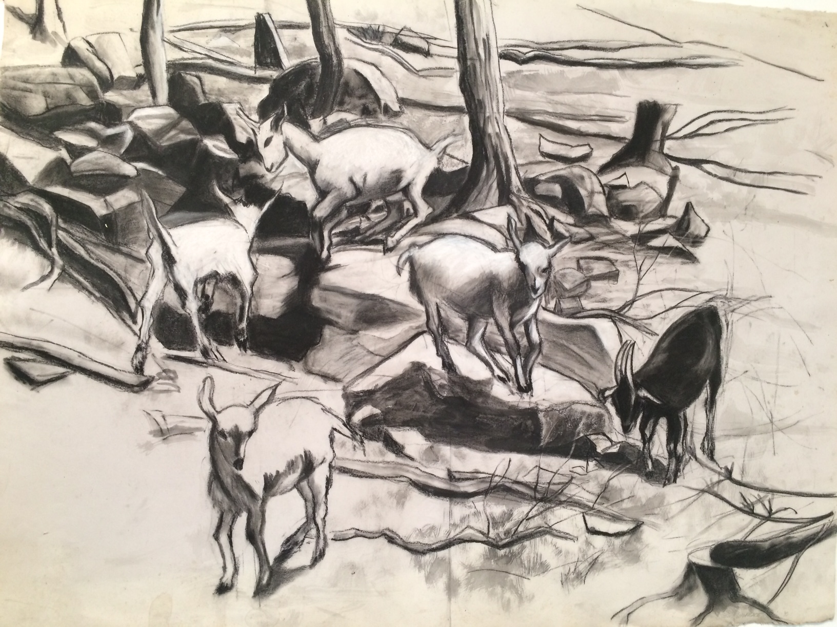 Adolescent Goats, 1991