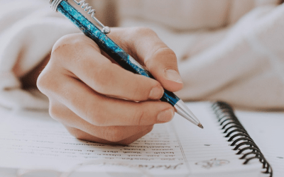 Professional Journaling