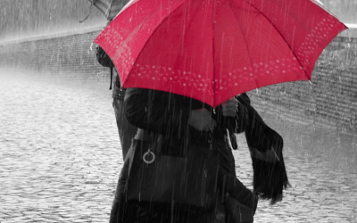 Rainy Day