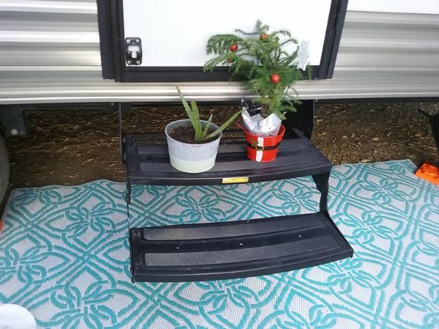 Plants