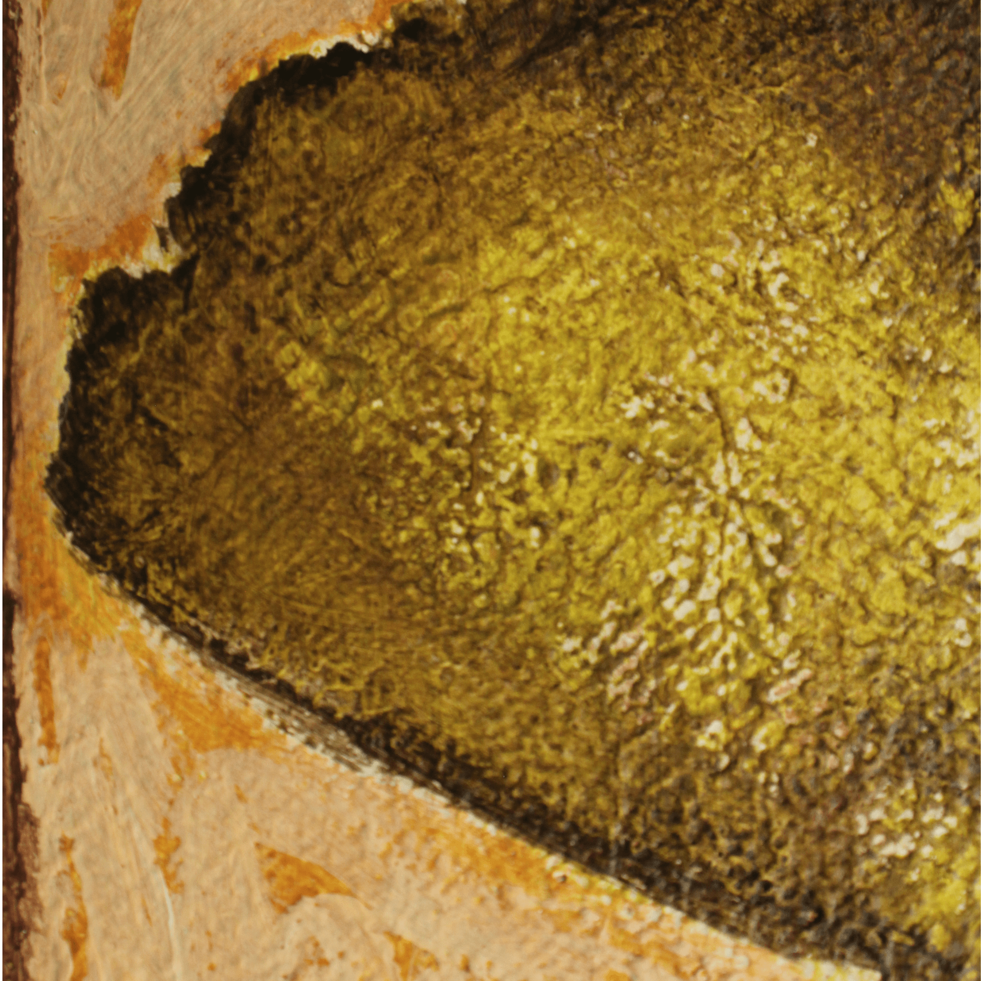 Ginkgo