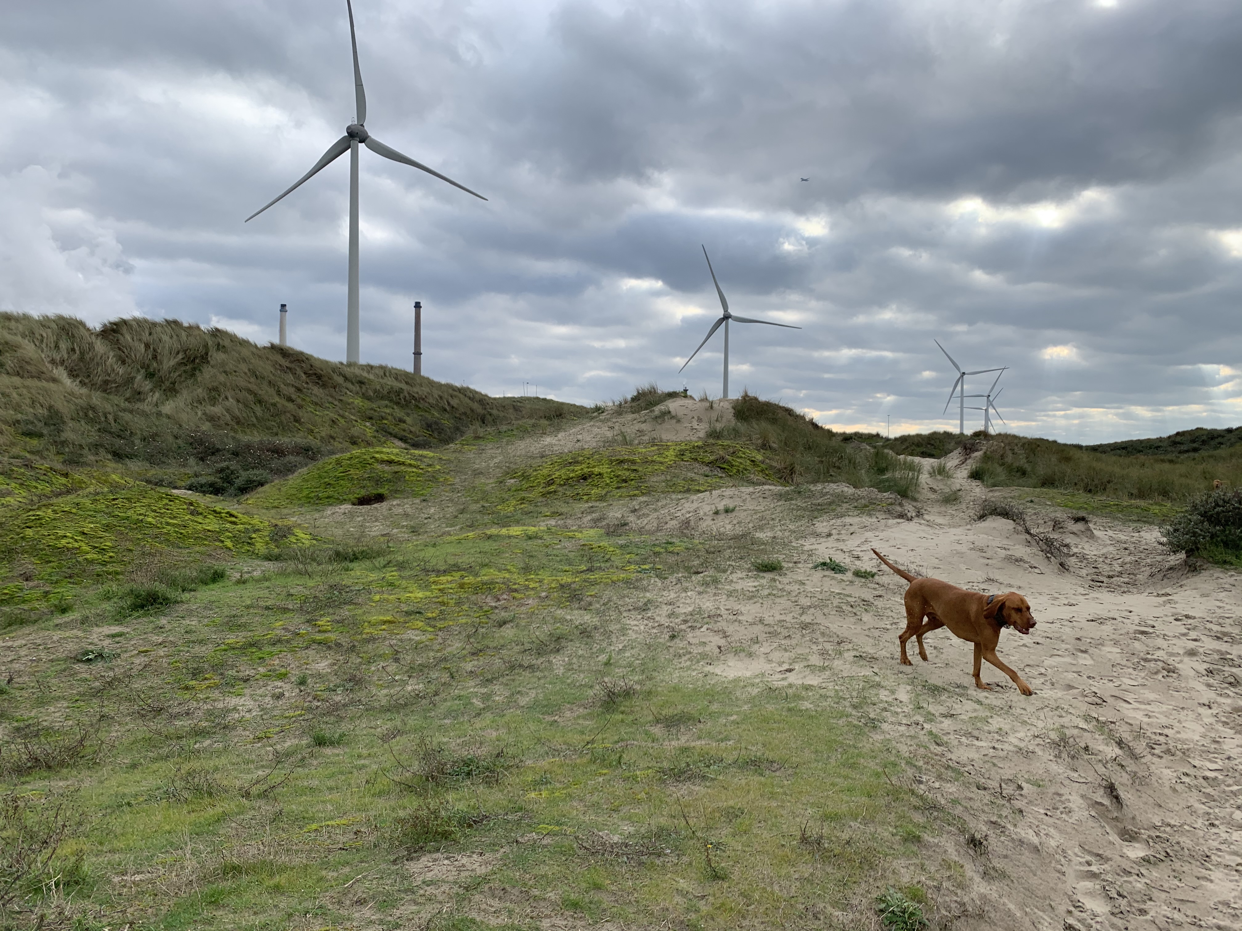 Wijk aan Zee / Velsen Noord