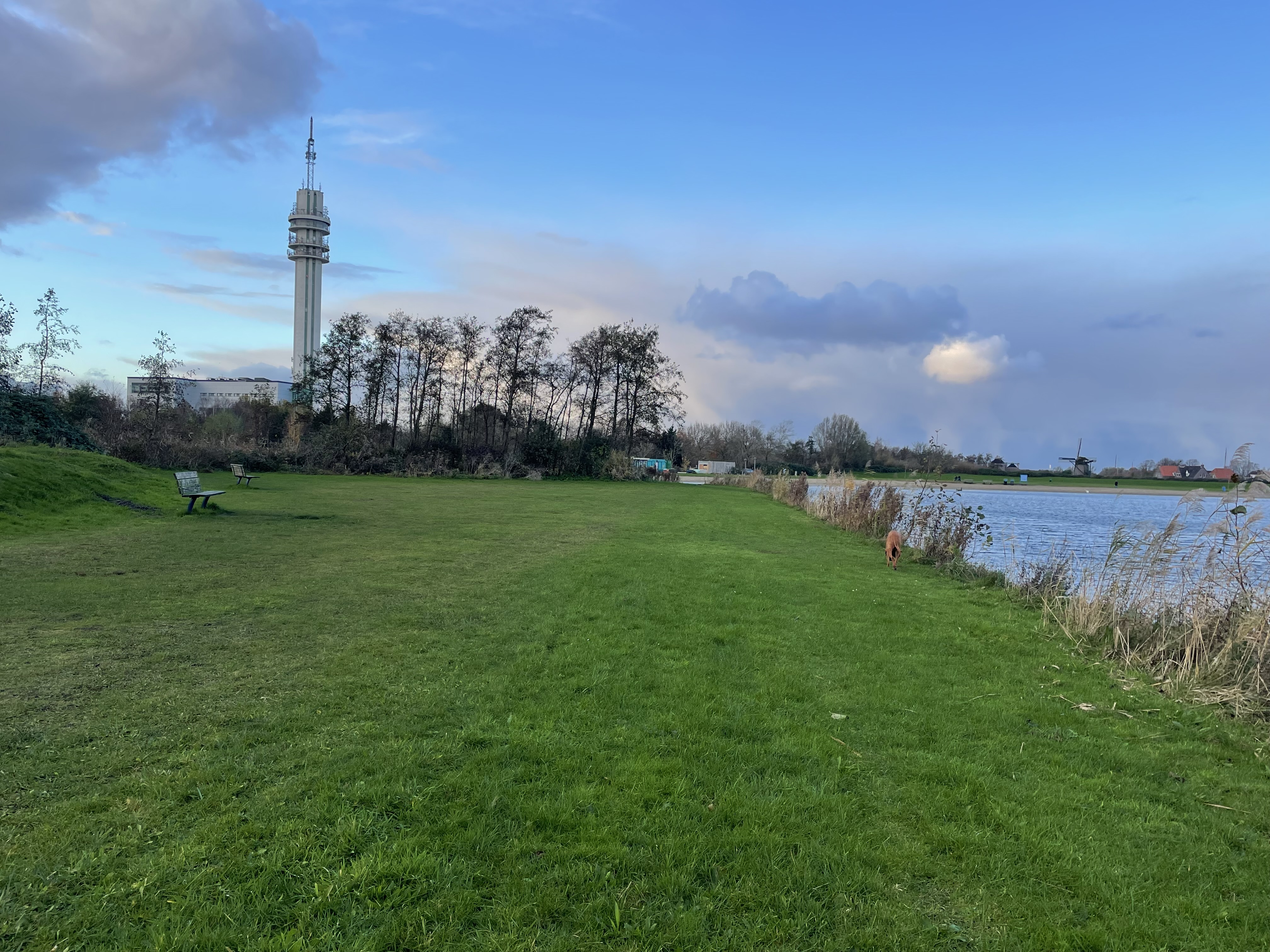 Veerplas, Waarderpolder (October – April)
