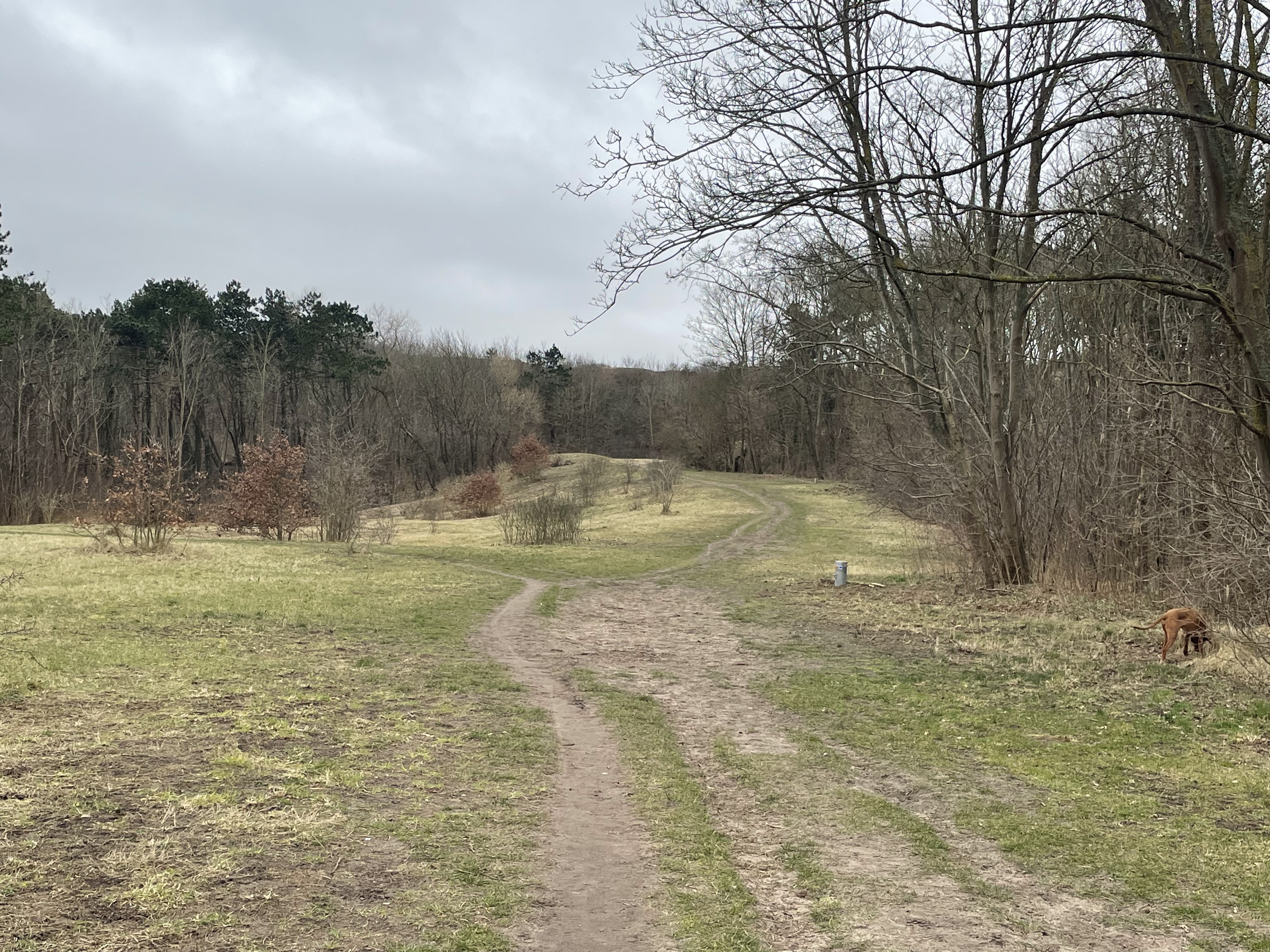 Egmond aan den Hoef