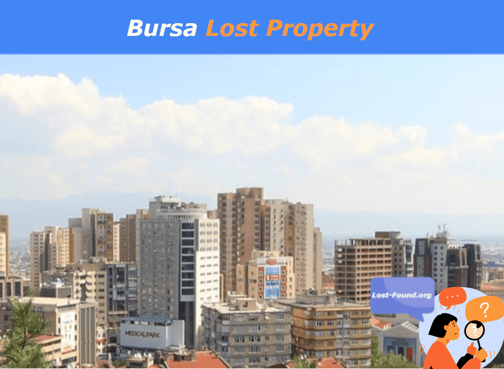 Bursa lost found