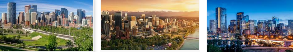 Lost found Calgary city