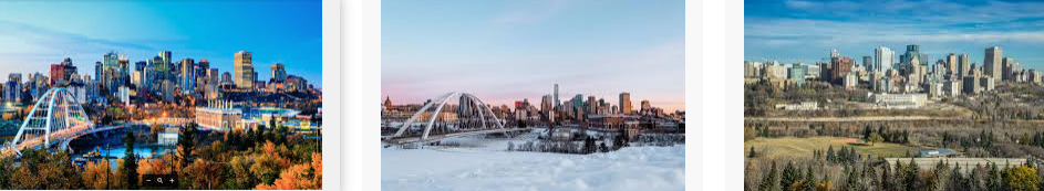 Lost found Edmonton city