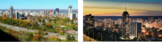 Lost found Hamilton city
