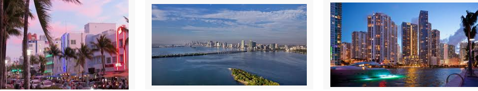 Lost found Miami city