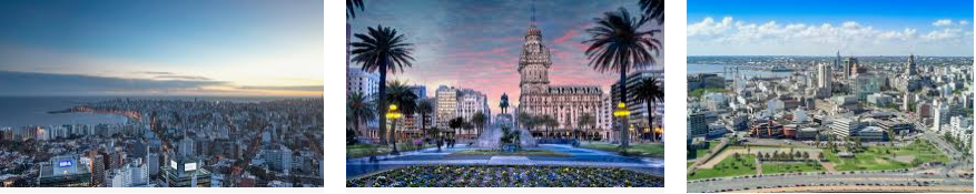 Lost and found Montevideo city