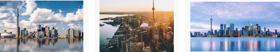 Lost found Toronto city