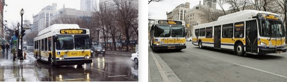 Lost found bus Hamilton