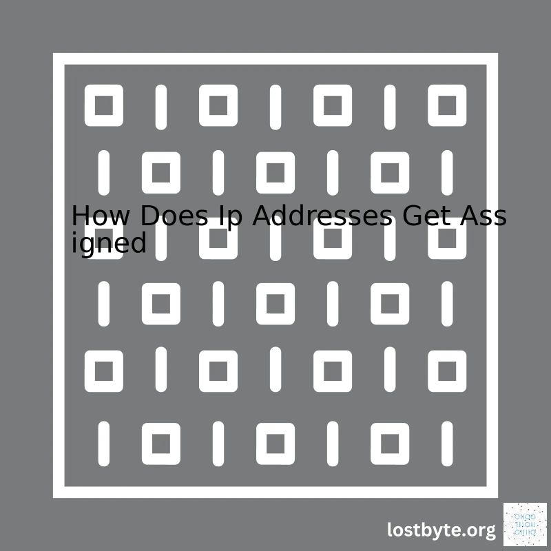How Does Ip Addresses Get Assigned Lostbyte - City Images - Creative 4K Collection
