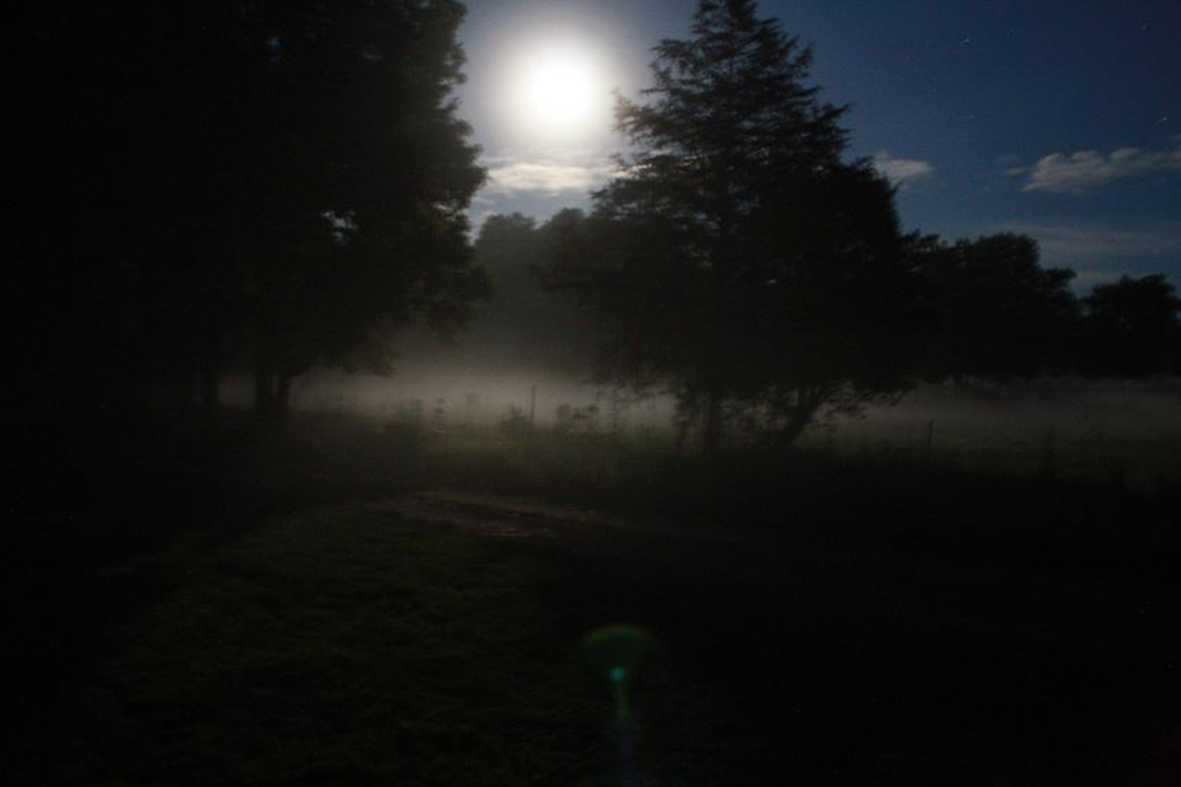 Lost Tribe Farm photo 9