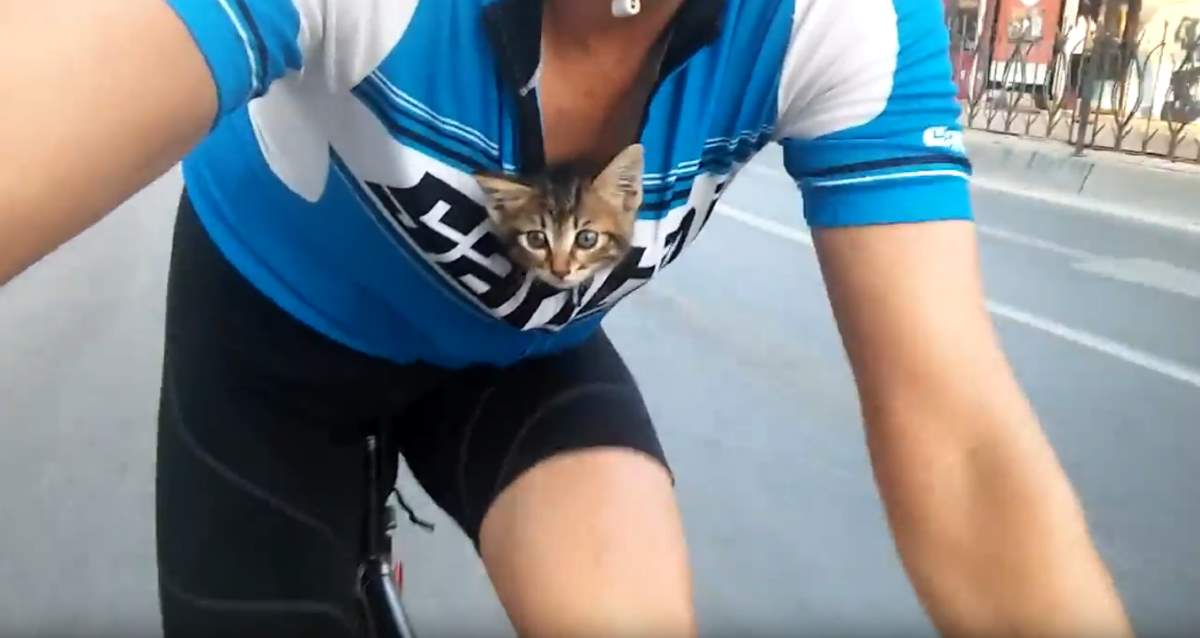 Carrying an abandoned kitten by bicycle