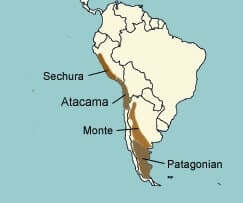 South America World Geography For UPSC IAS Notes UPSC Notes Monte Desert 