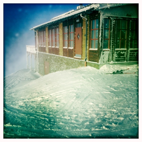 20120129-111656.jpg