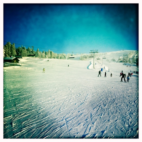 20120129-111801.jpg