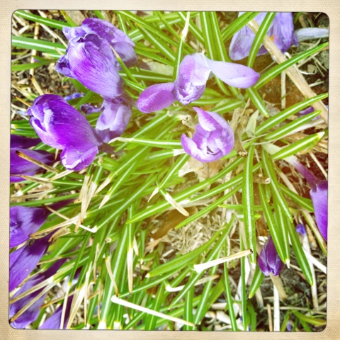20120324-145419.jpg