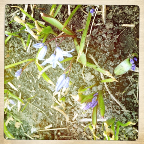 20120324-145427.jpg