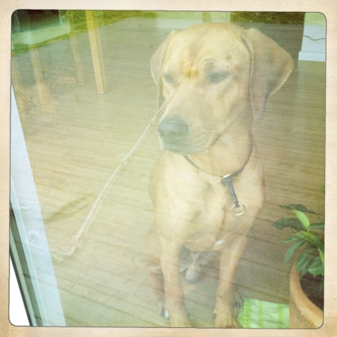 20120324-145444.jpg