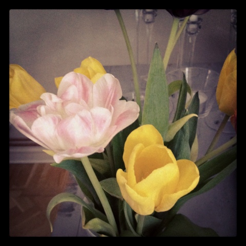 20120407-214645.jpg