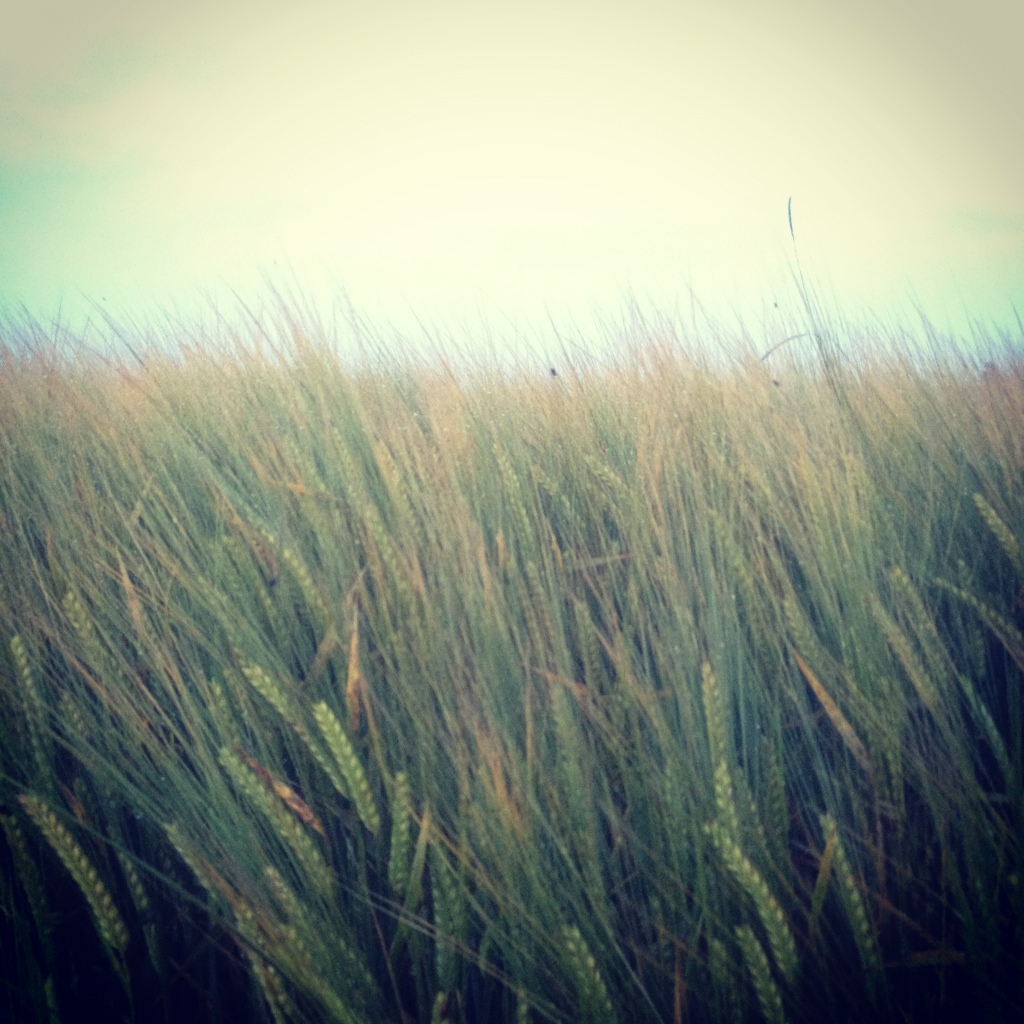 20120715-010431.jpg