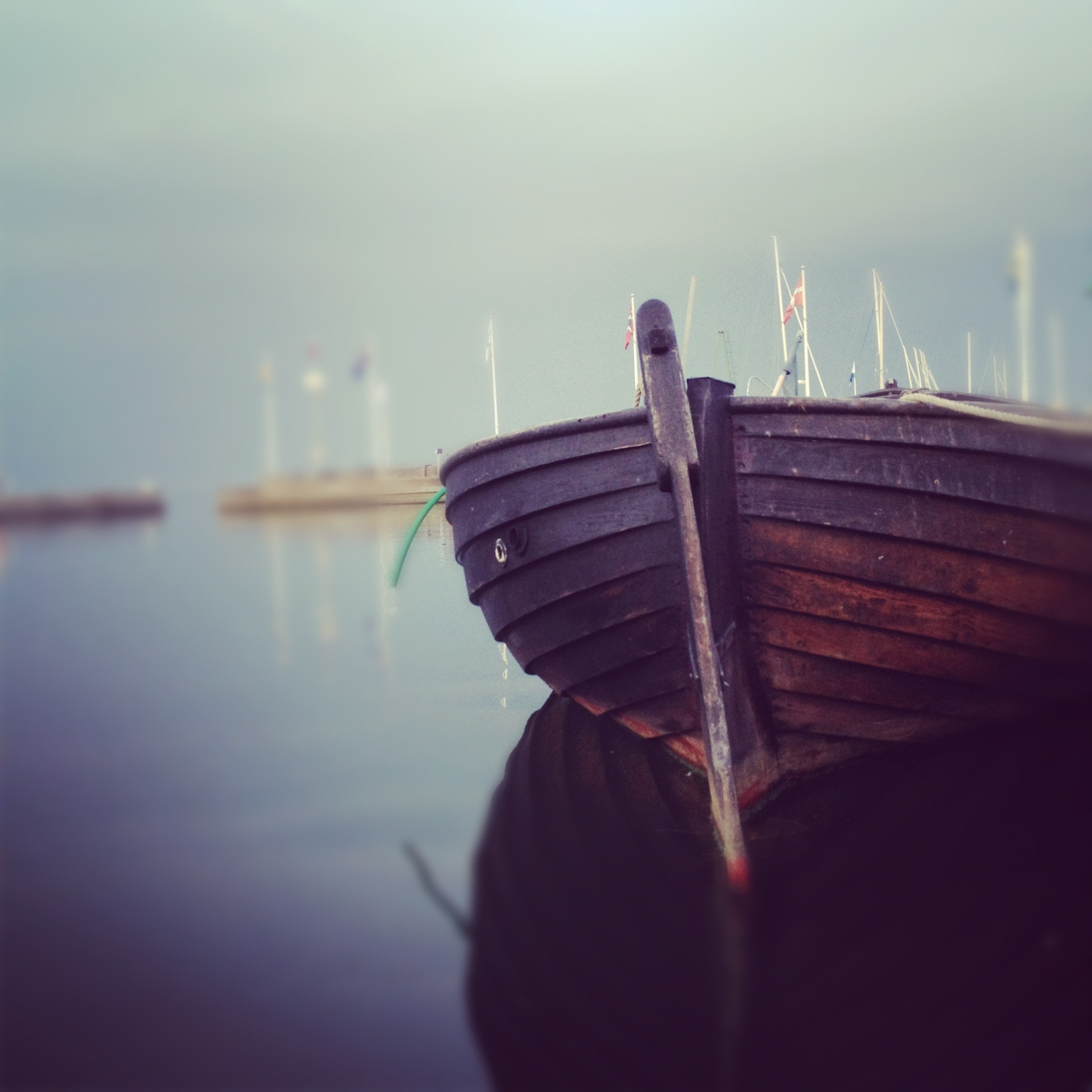 20120910-222210.jpg