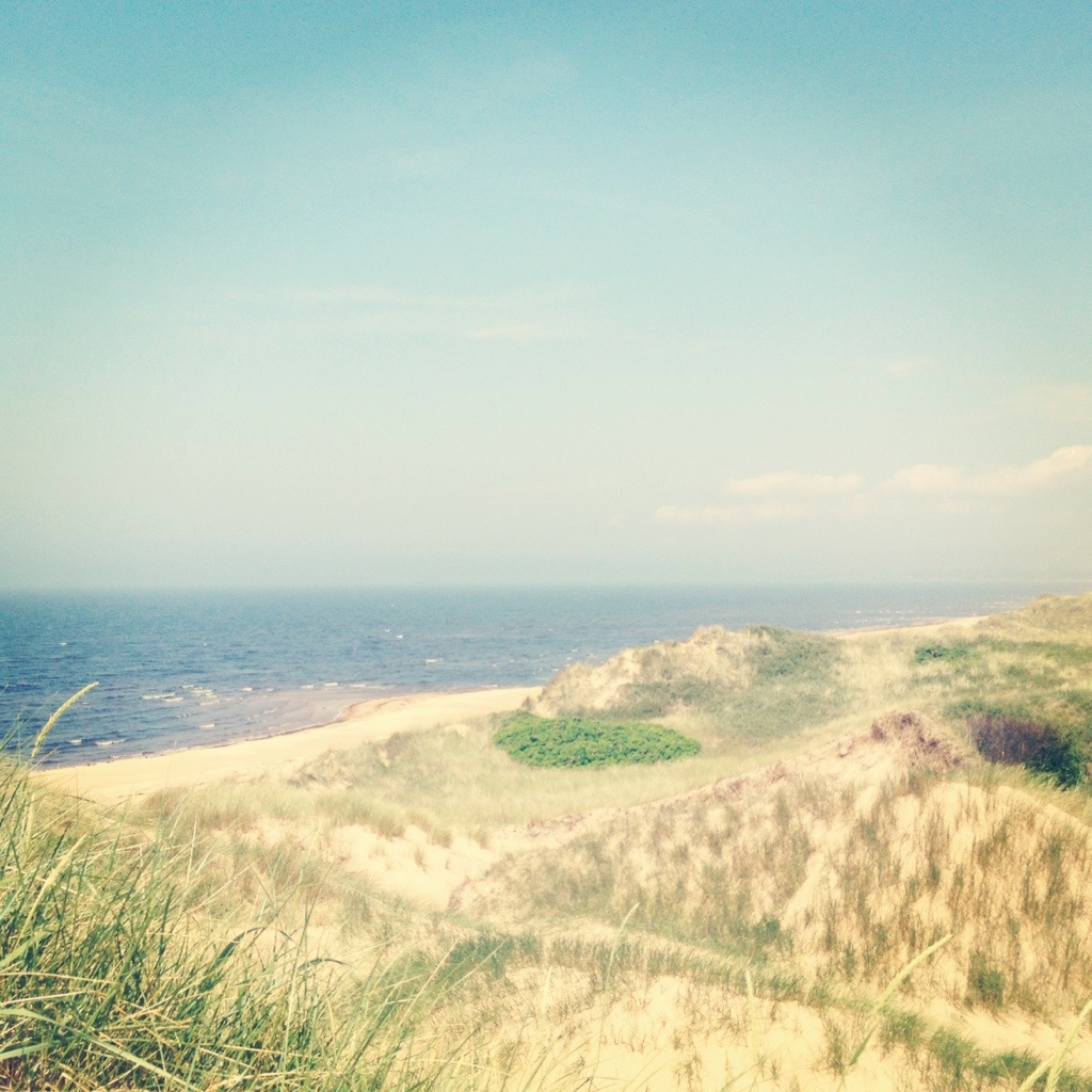 20130620-143337.jpg