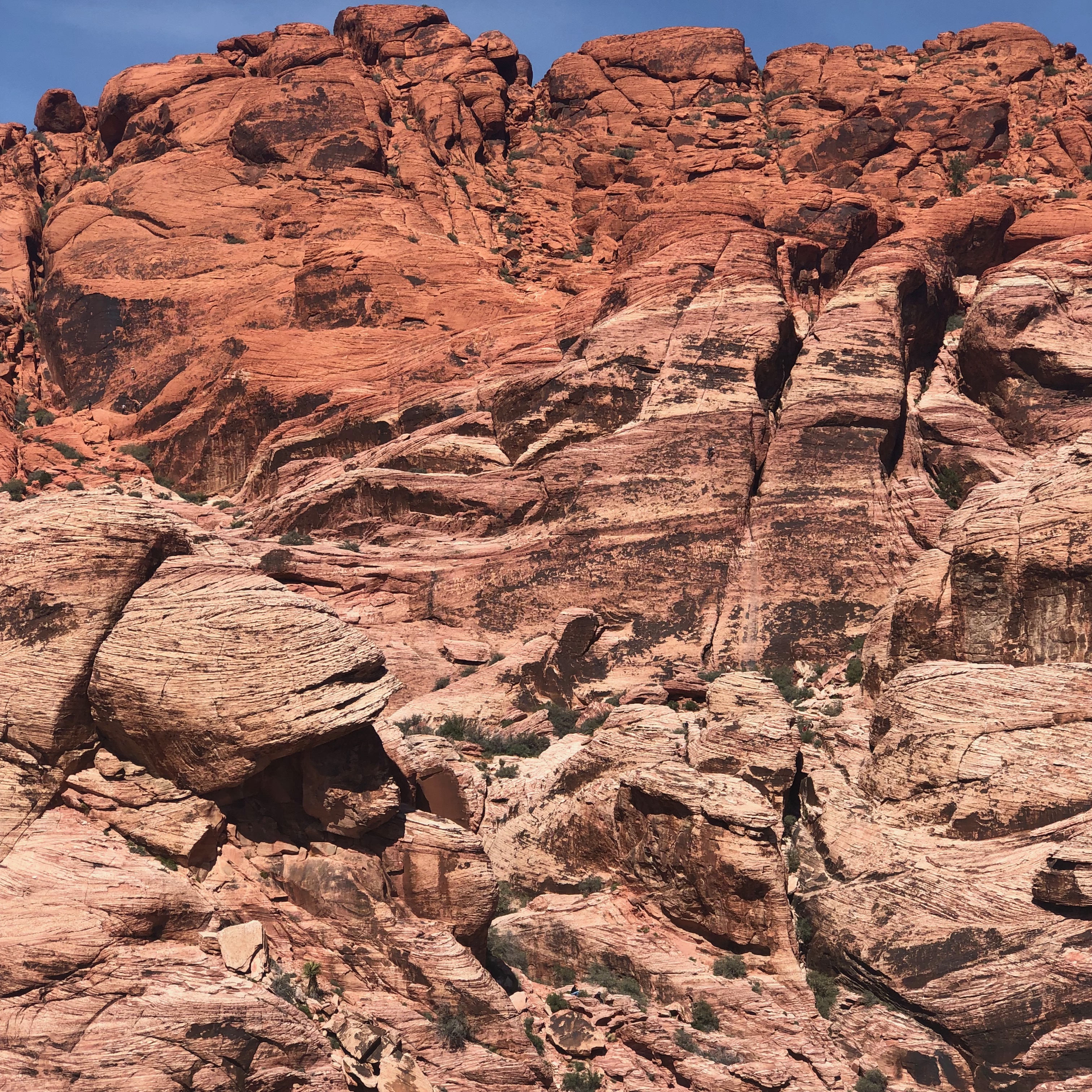 So many hues of red in Sedona, AZ