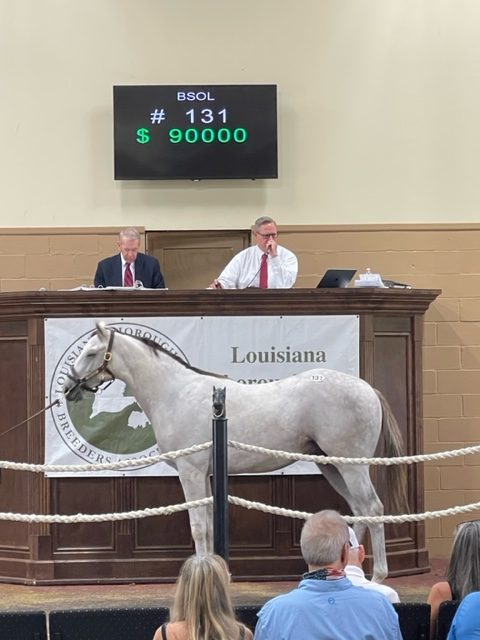 LTBA Breeders Sales of Louisiana 2023 Yearling Sale Results 