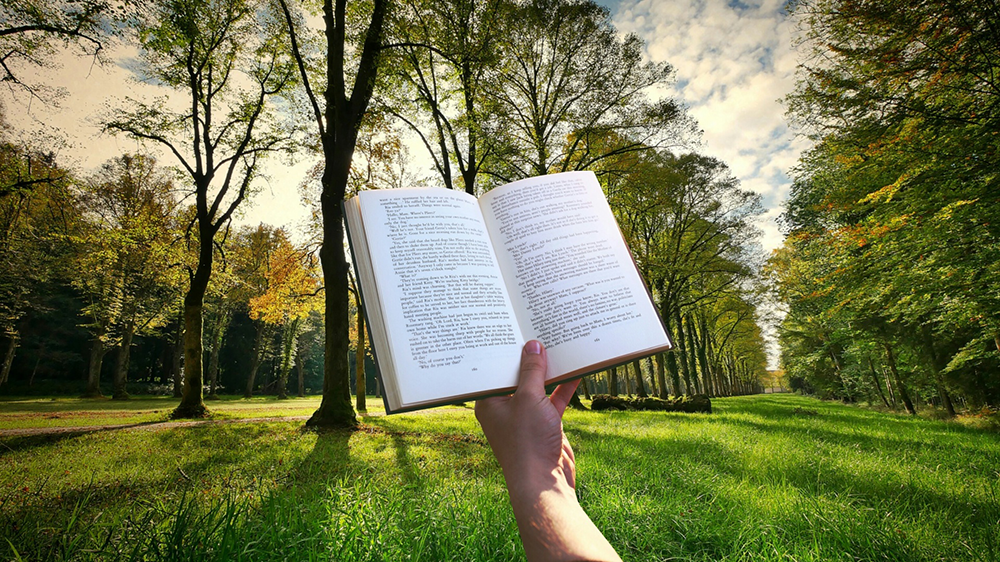 This is a decorative image of a person's hand holding a book in a field of trees. It accompanies a case study on reading disabilities.