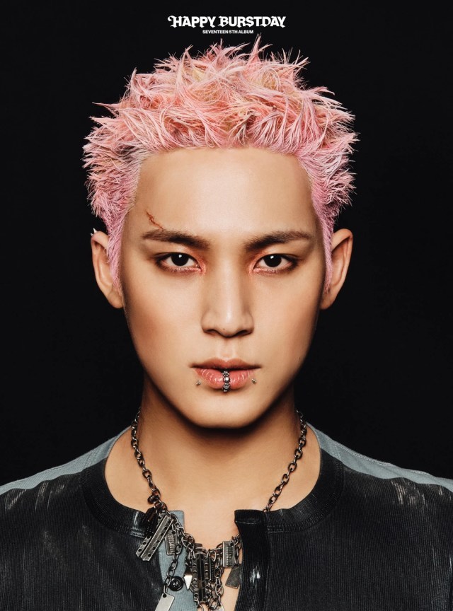 mingyu.webp?fit=889,1200&ssl=1