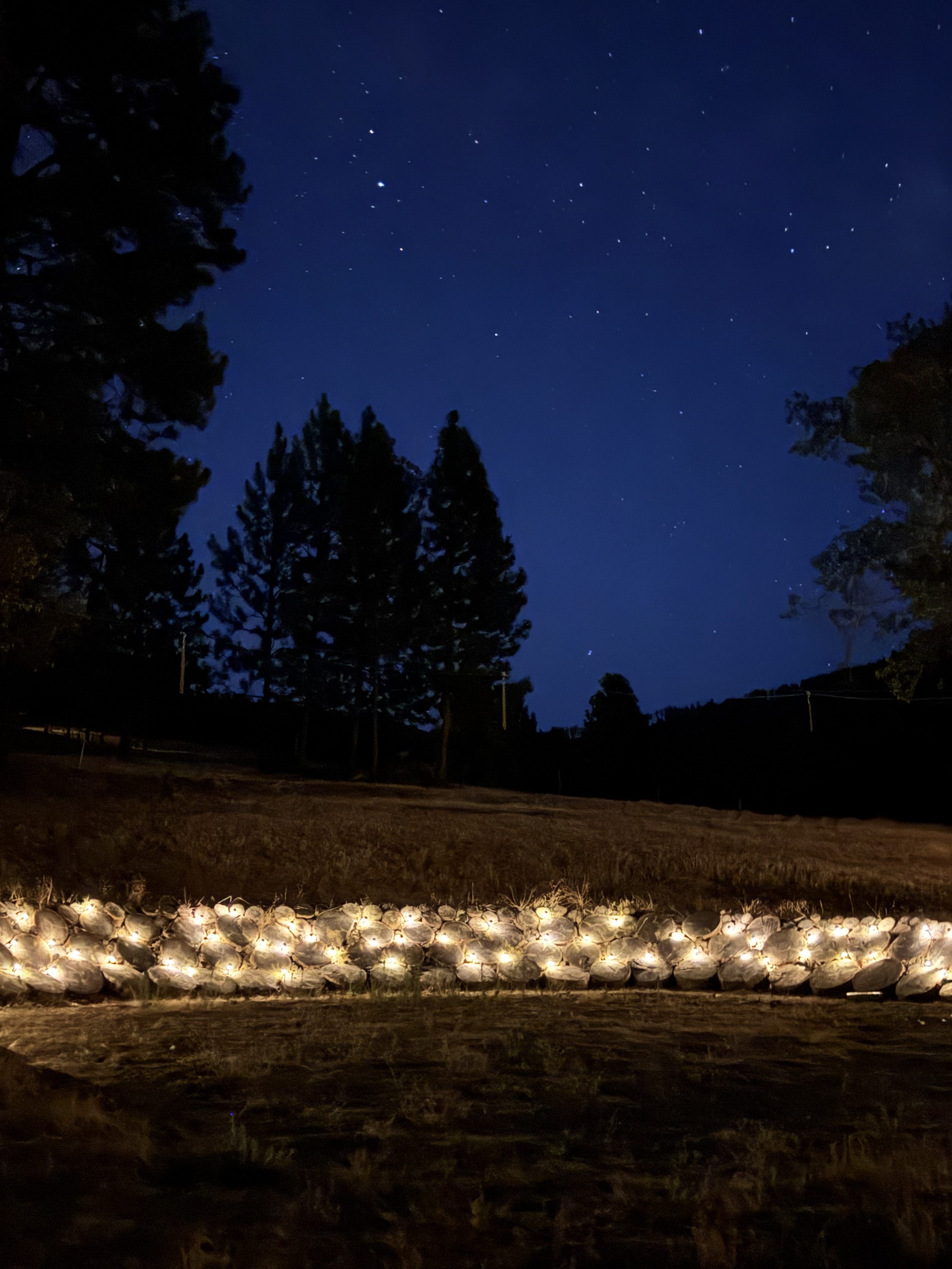 The Lucky Horseshoe after dark