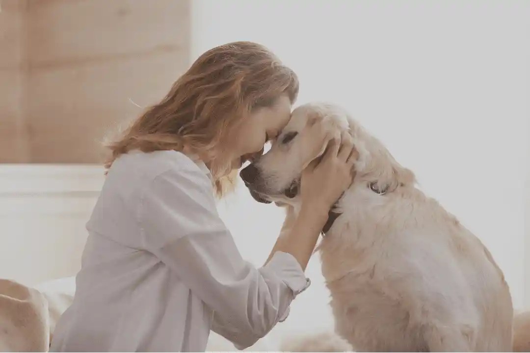 How to cope with the loss of a pet