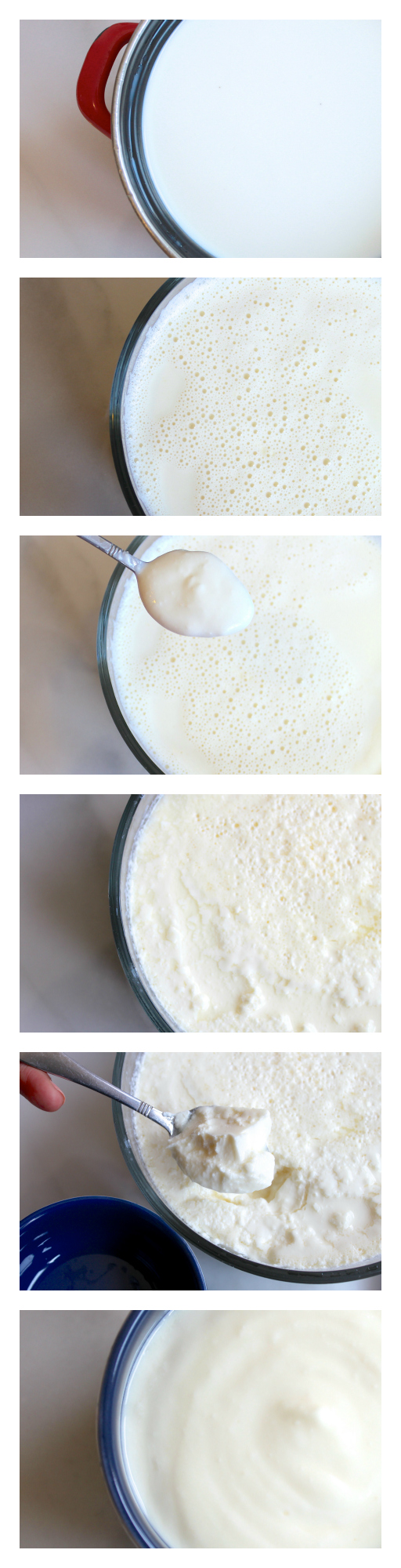 Homemade Yogurt