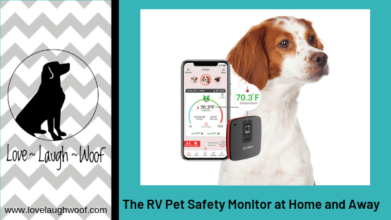 Dog online home monitor