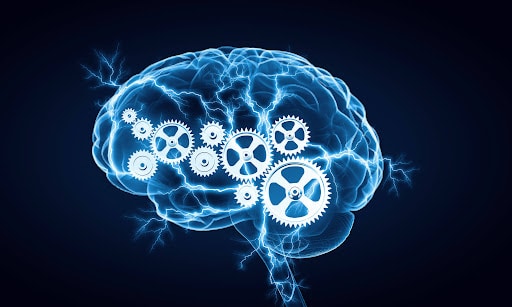 Intelligence and gears on brain