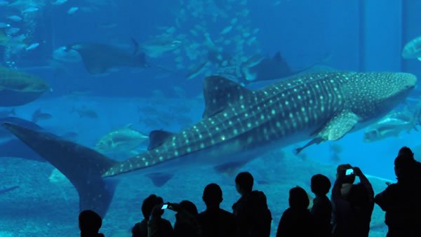 水族館