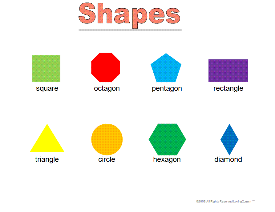Shape explanation