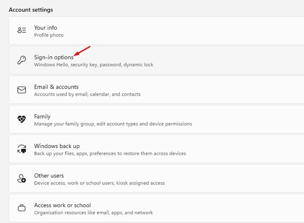 How to Change a PIN on Windows 11 (2 Methods) 26 Sign-in options