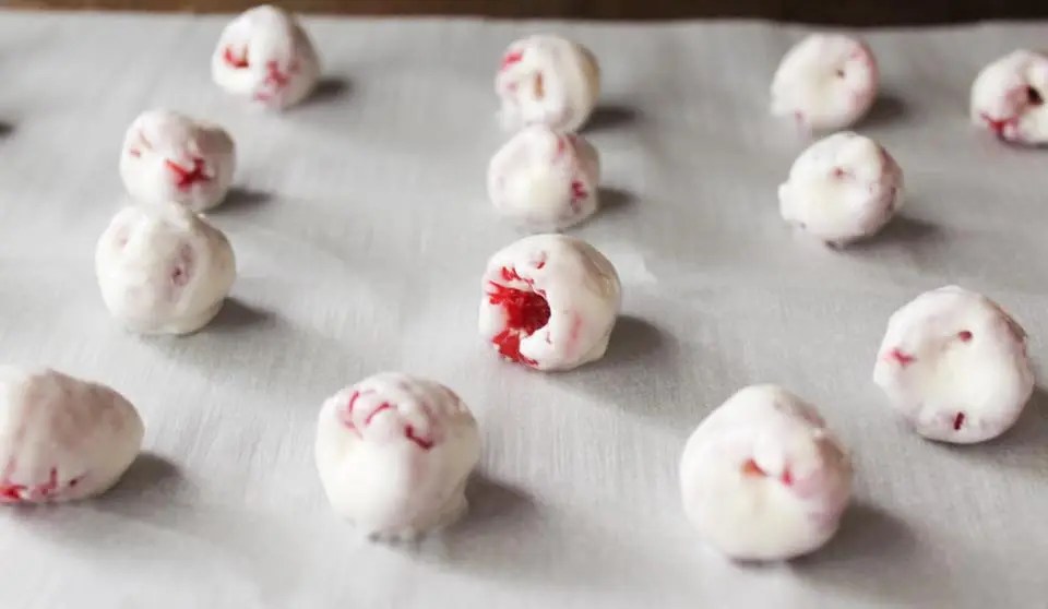 WEIGHT WATCHERS FROZEN YOGURT Raspberries BITES