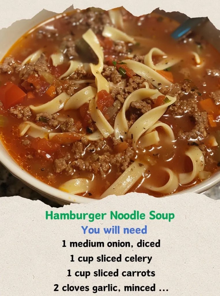HAMBURGER NOODLE SOUP WITH TOMATOES AND PARMESAN