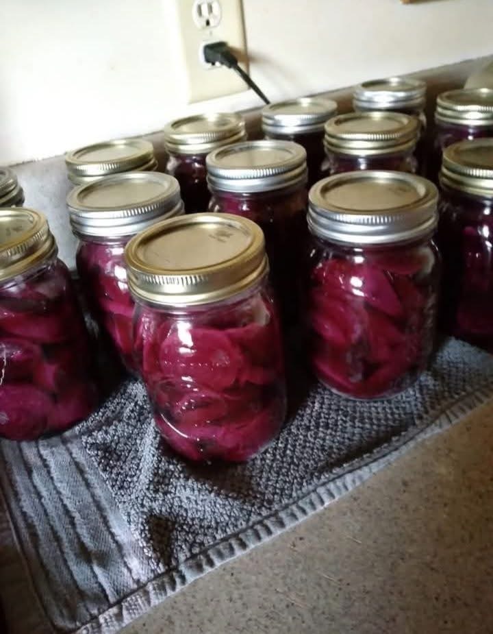 Pickled Beets
